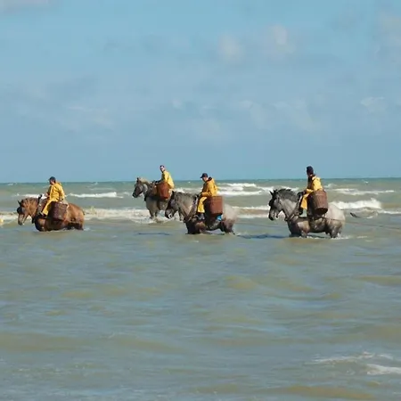 Near Belgian Coast With Sea View * Коксейде
