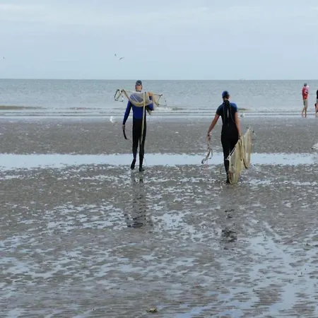 Near Belgian Coast With Sea View * 코크시데