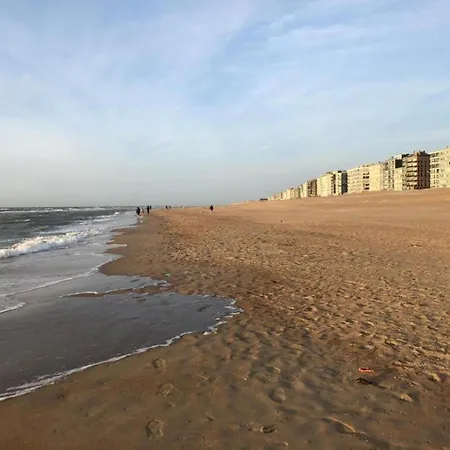 Near Belgian Coast With Sea View * Коксейде