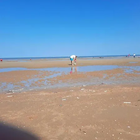 Near Belgian Coast With Sea View