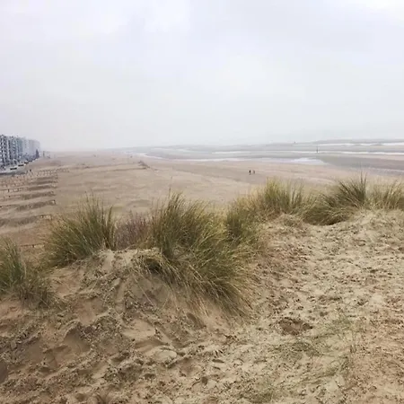 아파트 Near Belgian Coast With Sea View