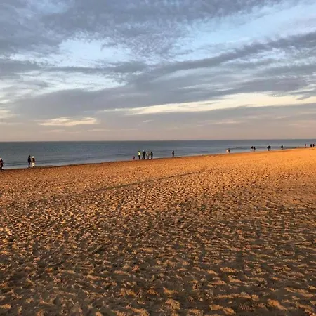 Near Belgian Coast With Sea View * Koksijde