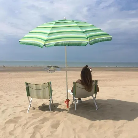 Near Belgian Coast With Sea View