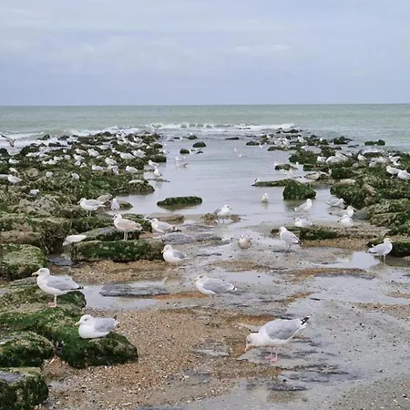 Near Belgian Coast With Sea View Апартаменты *
